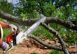 Best Lawn Watering Services  in Burke, VA